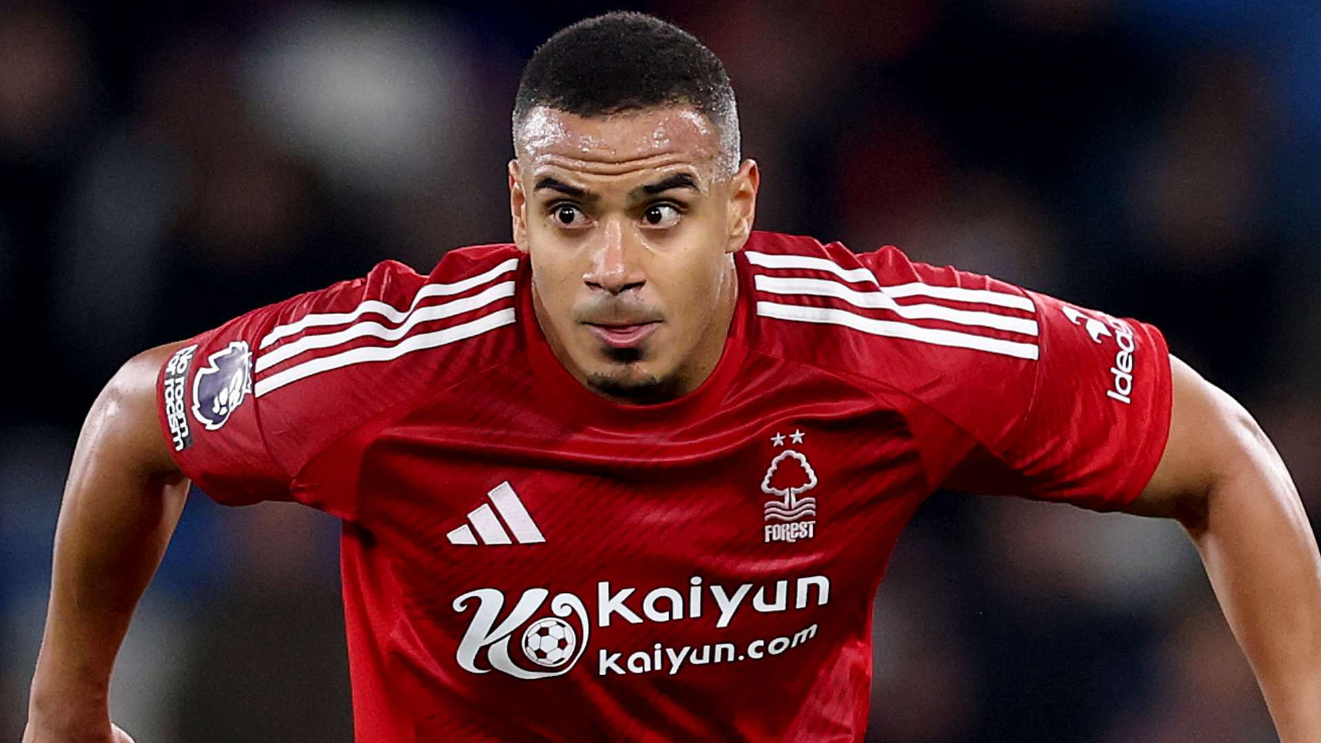 高的要求 高的要求